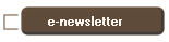 e-newsletter